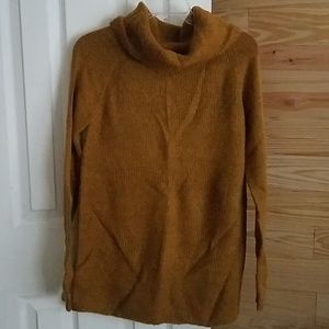 Turtleneck Pullover Tunic